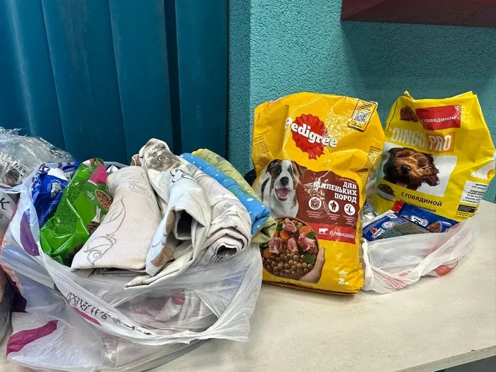 bhZmedwaftDPCupHOa7wYLr-FGy9NXbril274e5EKLgmialxlw7GFr0GlBJj58OYem6Wjo-3RaX8OOXIBmHGFV-2