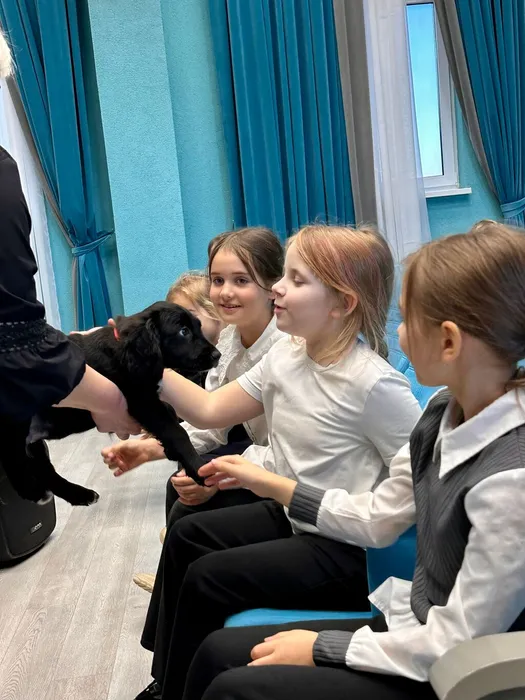 DebfGTKsttSXsTOrsG-N0eX3MlGcBRwKOHEy_zLPWb1m_NWOpQ1zlTK2DAvYNDf5Yim48TEYrgxij8njjrDWbq0D